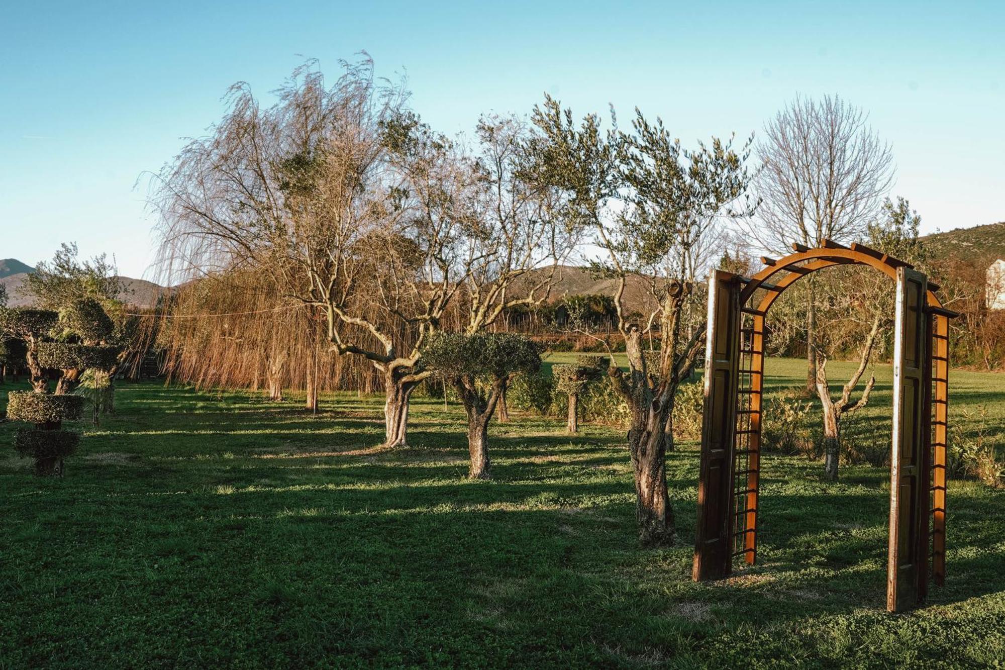 Masseria Perbacco Country House Guest House Bellona Exterior photo